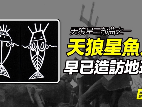 天狼星01：天狼星魚人&多貢族傳說，天狼星人或已造訪地球？人類的知識來源於天狼星人...