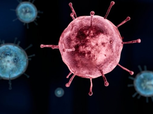 高溫潮濕的氣候能減緩新冠病毒的傳播