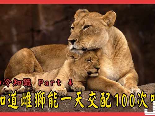 50個你不知道的動物冷知識 Part 4 #