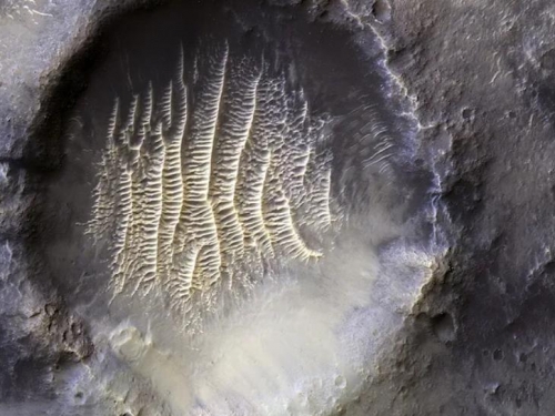 火星拍到外星人腳印？照片超清晰 NASA給出答案