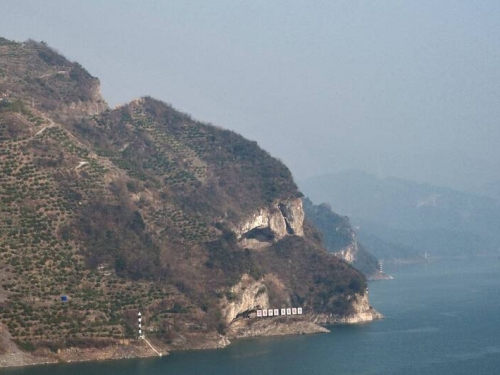 中國湖北狗狗山爆紅！掀毛孩與「天然汪汪」合影熱潮