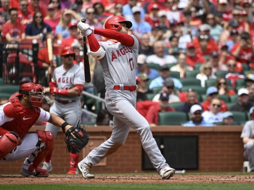 MLB》大谷翔平連7場敲安扮起爆劑開啟大局 天使橫掃紅雀奪4連勝