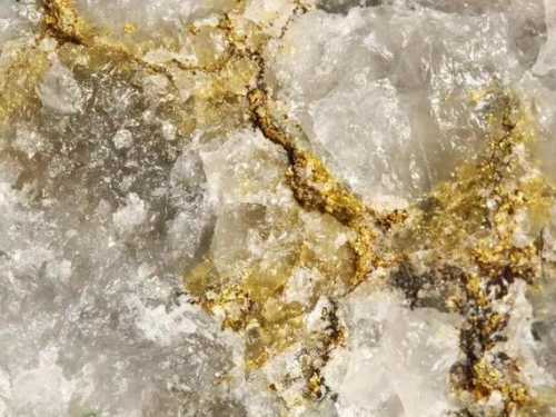 愛吃黃金的生物，科學家們有一個大膽的想法，能成真就太棒了