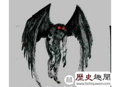 世界上最神祕的物種:雷鳥