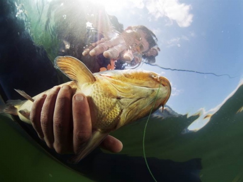 游泳捕魚硬塞口中 活魚瘋狂掙扎猛鑽喉嚨漁夫險身亡