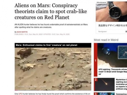 終於找到火星生物了！看著不像地球生物的“新型蝸牛”