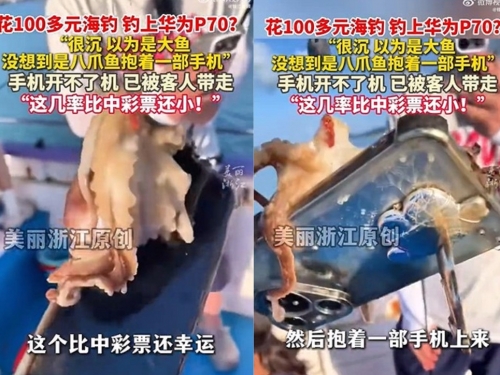 出海體驗釣魚超幸運！ 八爪章魚上鉤附贈「萬元手機」