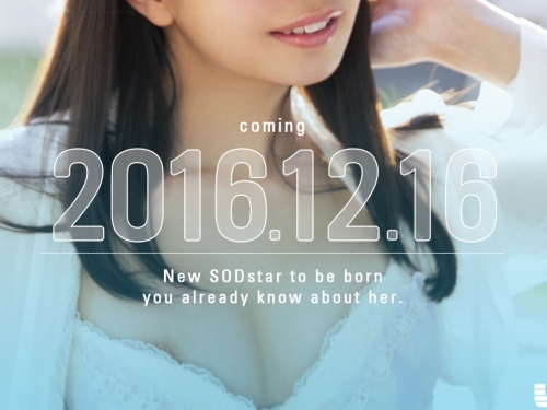 AV界的医龍！瀧本梨絵、SOD新星出陣！
