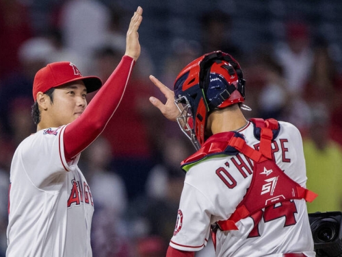 MLB》天使休賽季補強獲好評！ 2大物新秀有望為球隊做出貢獻