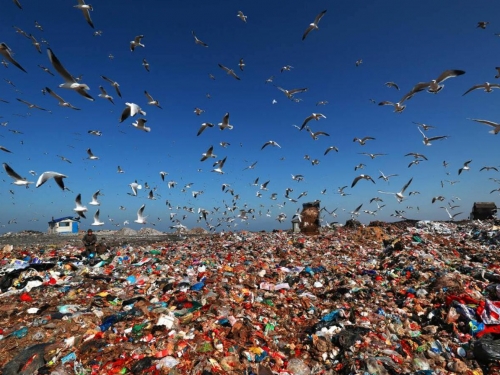 海洋垃圾或增加3倍，積累達6億噸，科學家：惡性循環已經開始了