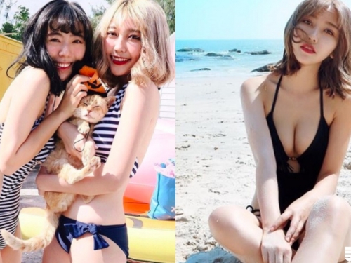 網路瘋傳！低胸爆乳夾貓咪的「天使姐美花」神出來啦！果然兩個都好漂亮啊！