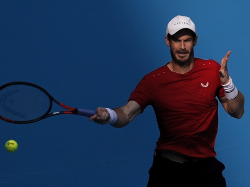 Murray復出首次連勝　獲魚類化石感新奇