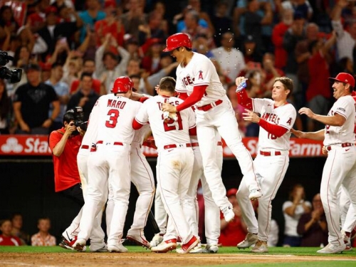 MLB》大谷怪力轟讓天使教頭讚賞 直言「神鱒」第9局保送很關鍵