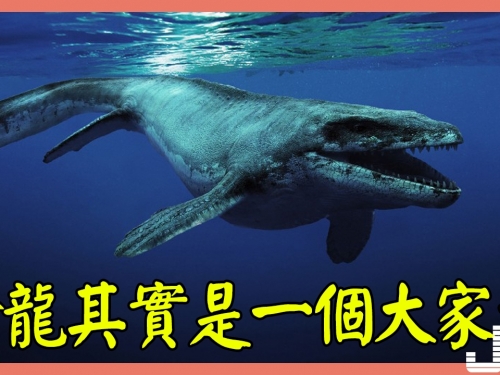 滄龍其實是一個大家族，史前有幾十種滄龍，最長的接近二十米