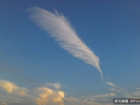 仰望天空的意外驚喜：天使遺落的羽毛