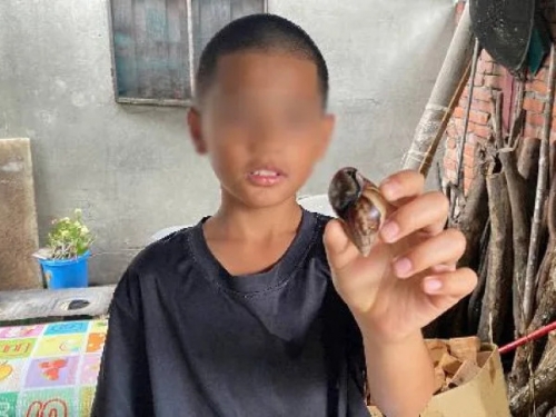 10歲弟攤家計「撿蝸牛」籌阿公開刀費 老人心疼：孫子的手要打棒球
