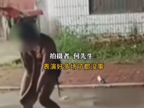 婚禮表演「與蟒蛇親嘴」遭蛇吻 目擊者嚇：完全甩不開