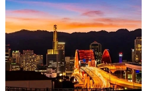 白鴿沈淪！日本警察被控街頭販毒 一查買家竟是自己人