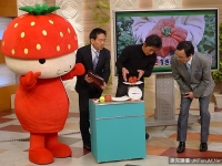 你一定聽過草莓，但你知道草莓王嗎？