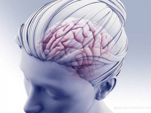 「換腦」抗老化！超瘋狂研究獲美政府支持