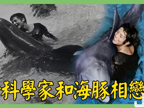 女科學家和海豚相戀, 被人發現後被迫分開, 海豚氣絶生亡！