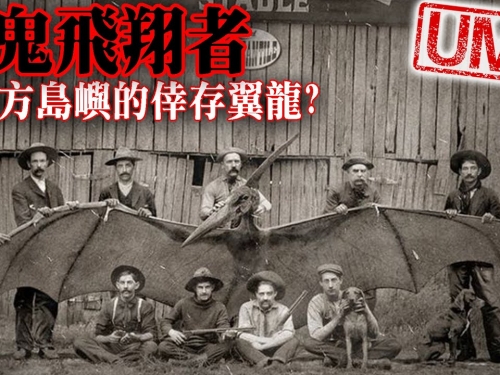 【UMA檔案】魔鬼飛翔者Ropen-隱身在南方島國中的活翼龍?美國亞歷桑那州獵捕翼龍事件|印...