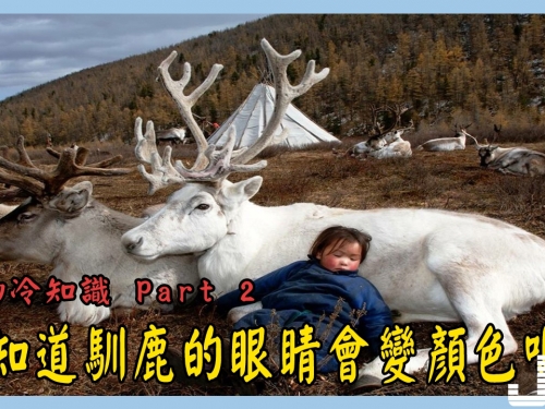 50個你不知道的動物冷知識 Part 2