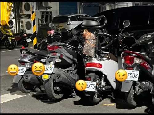 4.4萬人朝聖！路邊「車牌頂真」療癒畫面曝