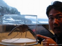 那些“成精”的超級怪獸