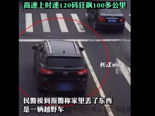 12歲男童偷開車上高速公路 載年幼妹妹時速飆破百