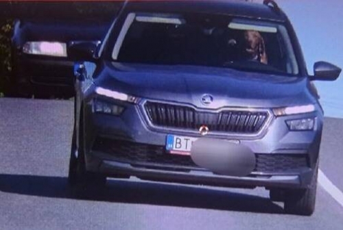 獵犬駕車「超速行駛」被拍到？警方傻眼：牠還對鏡頭笑一個