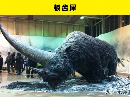未來可能被科學家們復活的5大滅絕生物