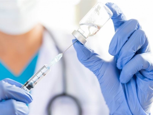 陸美團隊從蝙蝠找到新冠病毒抑制劑