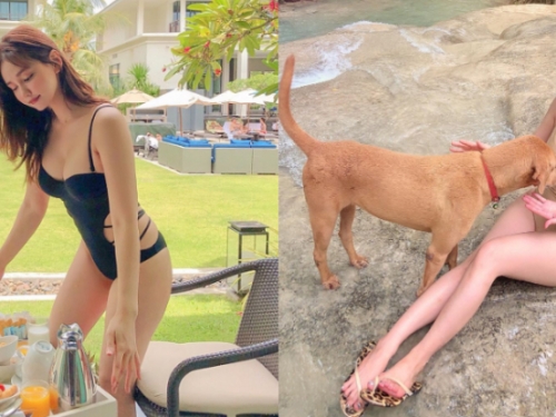 連狗都盯著看！「性感姐姐」低胸泳裝露飽滿美乳　火辣身材不只吸引人類