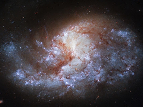 研究：罕見中型黑洞或藏於核星團內