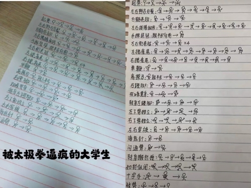 學習太極拳！ 看這「武功筆記」網友驚呼：絕了