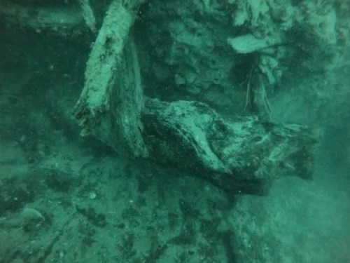 沈睡6萬年的大自然寶藏！　美科學家：新菌種可望開發新藥