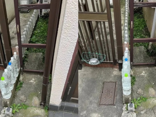 日本住宅門縫放滿礦泉水瓶 專業網友解釋：避免野貓靠近
