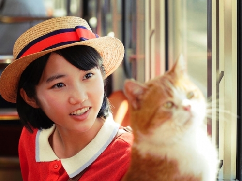 真人版《心之谷》釋出首波劇照！松坂桃李飾「聖司」、月島雫和貓咪搭火車畫面還原！