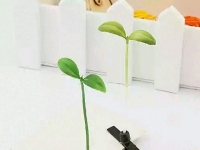 最近流行腦袋長草，雖然怪但滿可愛的「豆芽花髮夾」，連 GD 都帶了！