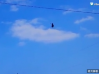 《離奇的黑色巨大飛行器派出偵察！》