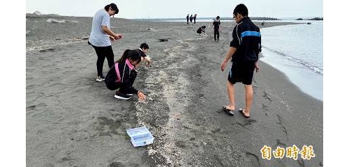 高雄林園新生態祕境！ 這處月牙灣變身美麗「貝殼灣」