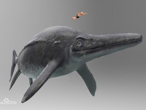 顛覆人類常識的發現：比藍鯨更大的史前巨獸成為地球最大動物