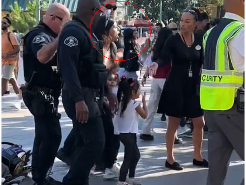 在最快樂地方被上銬！ 加州媽「嬰兒車」偷渡2女進迪士尼遭逮