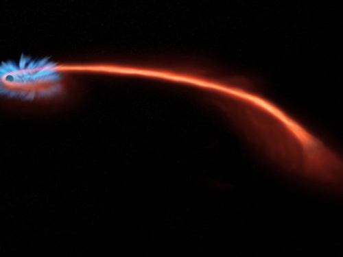 以偏振光研究被黑洞「麵條化」的恆星：多數物質被黑洞吐掉