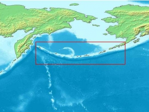 18世紀阿留申群島的原住民，使用簡陋的長矛，殺死了數十萬隻海獺