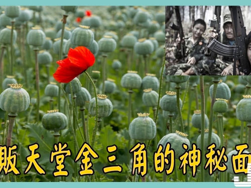 10圖揭秘毒販天堂金三角的神秘面紗