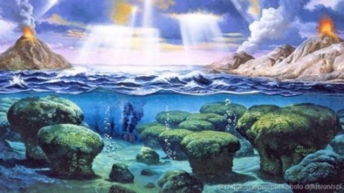 我們一刻也離不開的氧氣，對地球早期生命來卻說是毒氣