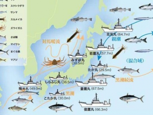 世界第一吃魚大國：每人每年消費100多斤，多虧了幾艘白色大船