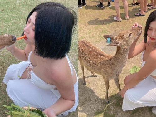 台版奈良驚見「短髮爆乳辣妹」嘴對嘴餵小鹿！網友驚呼：怎麼這麼兇！